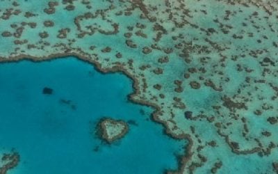What are the Top Diving Sites in the Whitsundays?