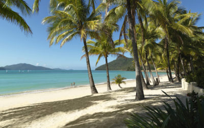 Take Your Whitsunday Adventure to the Next Level