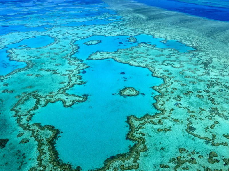 heart of the reef at the great barrier reef