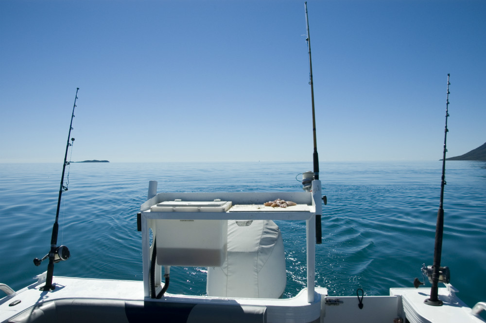 sailing yacht fishing