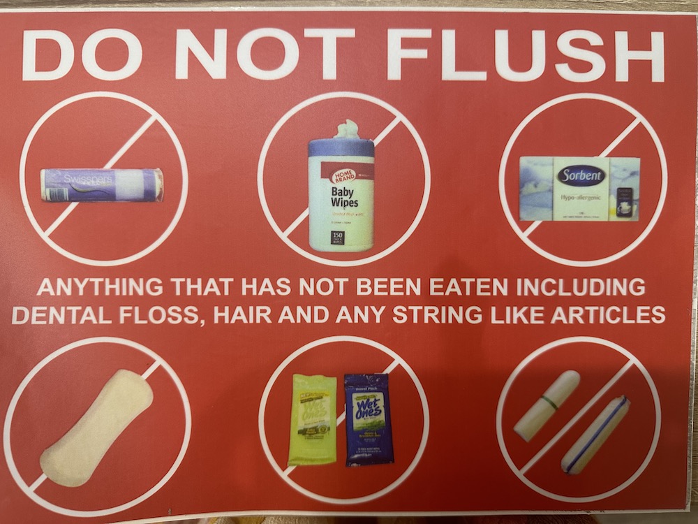 do-not-flush-items